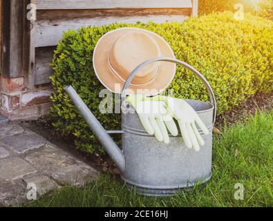 Gartenkonzept: Sommerhut, Zinkbewässerungskanne und Gartenhandschuhe bei Boxwood Pflanze im Garten. Stockfoto