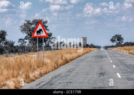 Elefantenkreuzung mit Schild auf der Straße in Namibia Stockfoto