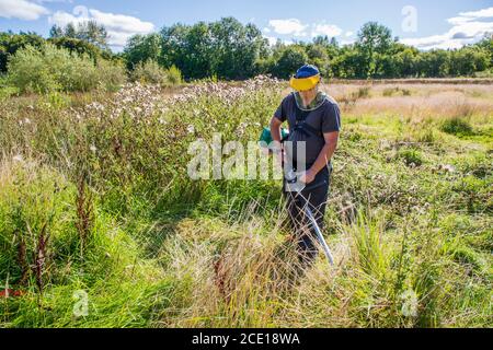 Mann, der einen überwucherten Garten streift, einen industriellen Strimer verwendet und ein Schutzvisier trägt, Kilwinning, Ayrshire, Schottland, Großbritannien Stockfoto