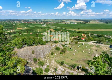 Statue Park in Villany Nagyharsany Blick von oben Antenne mit Weinberge Stockfoto