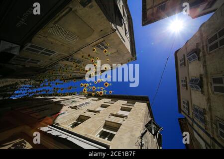 Avignon, Provence, Frankreich. Stockfoto