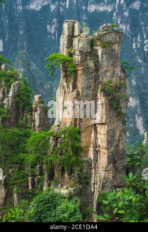 Landschaft aus Stein Tianzi Bergsäulen in Zhangjiajie Stockfoto