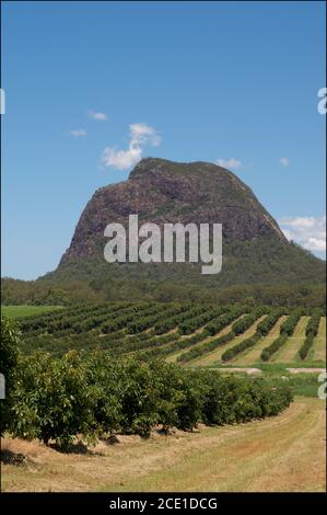 Wunderschöne Aussicht auf Mt. Tibrogargan des Glass House Moutains in Queensland, Australien Stockfoto