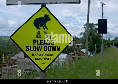 Australisches Koala Warnschild in der Nähe der Stadt Eumundi in New South Wales. Auf dem Schild steht, dass die Tiere langsamer werden, um sie zu schützen Stockfoto