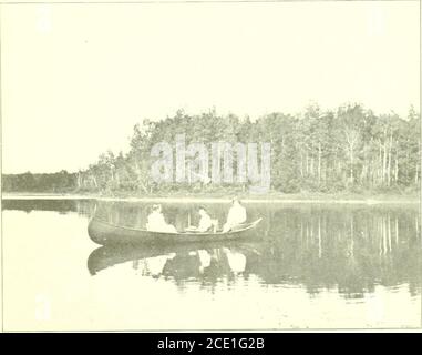 . Eastern Maine praktischer Führer. Laufen Sie Mythroat in meinen Bauch. Der Fluss führt sehr geradlinig von seinem Hauptwasser zu seinem Fjord. Beachten Sie den sehr langen und schmalen Fkord. VIIP Union River. Dreizehn Elche im östlichen Ende des Hancock County im Jahr 1904 getötet.Webb Teich.Meer mm auf Teich.Melasse Teich.Ostzweig. Ruffhuhn, Hirsch. Spektakel Teich. Rocky Pond. Nahe Air Line Road.Middle Branch.West Branch. Morrison Teiche. Toller Teich. Hirsch. Long Pond. Alligator Lake. IX. Passadumkeag River. Ausgezeichneter Forellenbach. Die durch den Passadumkeag entwässerte Region ist hügelig und malerisch. Vou kann diesen Abschnitt erreichen Stockfoto