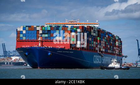 COSCO Shipping Vessel - die COSCO Shipping Fische werden in Felixstowe Hafen manövriert, nachdem sie voll von der vorherigen Haltestelle Singapur ankommen. Stockfoto