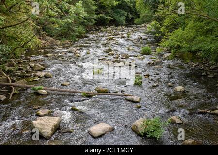 Der Fluss Bode in der Nähe der Stadt Thale in Deutschland Stockfoto