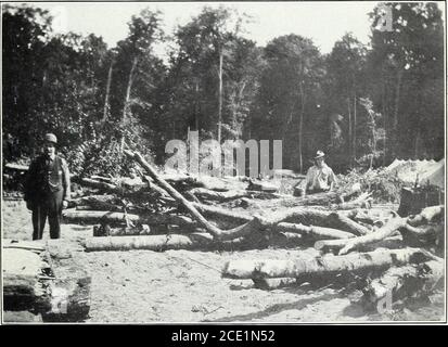 . Der nördliche Laubwald : seine Zusammensetzung, Wachstum und Verwaltung . Abb. 1. – EIN Zweig, der für die Destillation genommen werden wird.solches Material wurde früher im Wald gelassen, um zu verfaulen.. Abb. 2. - Topwood rutschte aus für Eisenbahn-Versand an die chemische Fabrik. VERWENDUNG KRUMMEN HARTHOLZ TOPS UND ZWEIGE FORCHEMICAL DESTILLATION. MICHIGAN. Bui. 285, U. S. Abteilung Landwirtschaft. Platte XII. Stockfoto