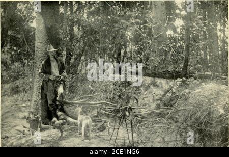 . Der untere Amazonas; eine Erzählung von Erkundungen in den wenig bekannten Regionen des Staates Pará, auf dem unteren Amazonas . Zulu das Maskottchen der Expeditionen. Ruhe während einer Erkundung im Landesinneren Stockfoto