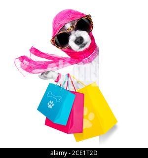 Shopping Diva Hund Stockfoto