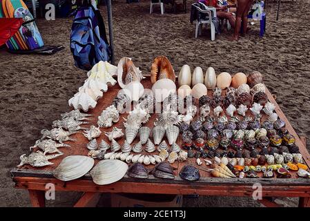 Wunderschöne bunte Sammlung von Muscheln in Draufsicht Perspektive isoliert auf Tisch zum Verkauf am Strand, Sommer – Bali – Indonesien Stockfoto