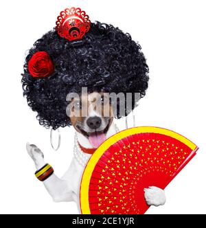 spanischer Hund Stockfoto