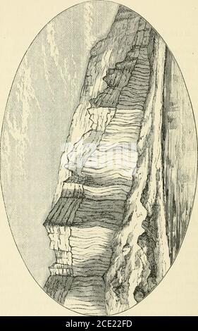 . Mount Seir, Sinai und Westpalestine. Als eine Erzählung von einer wissenschaftlichen Expedition. In, und entlang ihrer Wände ist das Steinsalz ständig schmelzen. Hart und Laurence rührten sich bis zum Gipfel der Klippe, und zum ersten Mal wurde die obere Oberfläche dieses bemerkenswerten Speichelplateaus von einem Europäer untersucht. Die Schwierigkeiten, seine Oberfläche zu erreichen und zu durchqueren, sind beträchtlich, aufgrund der Löcher und Spalten, durch die die Schichten durchdrungen werden. Mr. Hart teilt mir mit, dass die obere Oberfläche aus Schiefer und Mergel mit Gips und Selenit besteht, viel gebrochen und nicht konsolidiert. Stockfoto