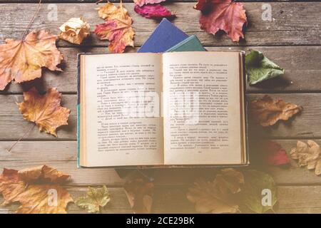 Offenes Buch Herbstblätter Stockfoto