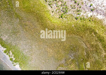 Luftaufnahme der Küste mit Feuchtgebieten, Southampton, NY Stockfoto