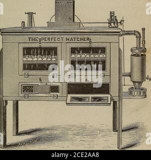 . Praktische künstliche Inkubation. Ein Resümee der Fortschritte in den letzten Jahren in der künstlichen Inkubation in diesem Land und Europa gemacht . ay am besten Ihre besonderen Wünsche erfüllen , werden wir eine gründliche Beschreibung jeder Maschine geben , und die besonderen Punkte der Exzellenz für jeden von den jeweiligen Herstellern beansprucht , Und profitieren Sie von der Erfahrung prominenter Liebhaber und Züchter mit verschiedenen Maschinen. Sie können dann entscheiden intelligent, was Sie bevorzugen werden, denn wir sind uns bewusst, dass, was eine Person Ansichten vielleicht sehr weit von anderen treffen kann, und ein Inkubator gut an einen menschen will angepasst Stockfoto