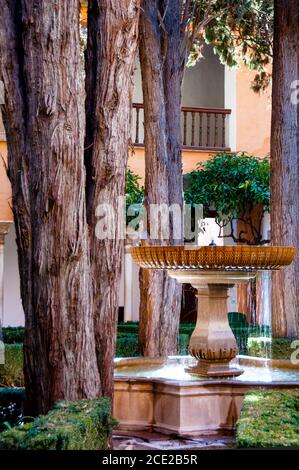 Der Garten von Daraxa an der Alhambra in Granada Marmorbrunnen und Bogengängen, Spanien. Stockfoto