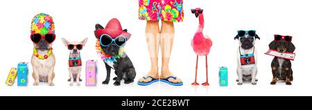 Hundereihe im Sommerurlaub Stockfoto
