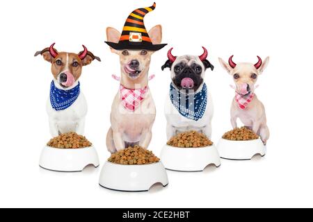 halloween Teufel Hunde hungrig nach Nahrung Stockfoto