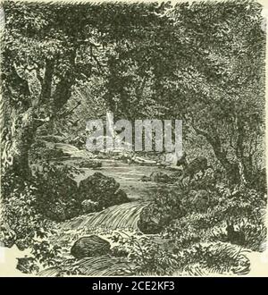 . Perfekte Perlen der Poesie und Prosa; die einzigartigsten, berührenden, inspirierenden und schönen literarischen Schätze.. . • zu ihm, der in der Liebe zur Natur Communioa mit ihren sichtbaren Formen einheilt, spricht sie 4. Verschiedene laneuaae. TIIANATOPSTS. 215 Dein Bild. Die Erde, die dich nährte, wird Dein Wachstum beanspruchen, wieder zur Erde aufgelöst zu werden; und, jede menschliche Spur verloren, sich hingebenDas individuelle Wesen, sollst du für immer mit den Elementen mischen; ein Bruder des unsinnigen Felsens zu sein.und zu dem trägen Gerinnsel, den der unhöfliche Klatsch mit seinem Anteil umgeht und auf den er tritt. Die Eiche. DIE EHRWÜRDIGEN WÄLDER. Sha Stockfoto