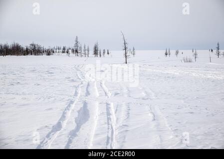 Schneemobilstrecken auf einer verschneiten Tundralandschaft, Yamalo-Nenzen Autonomous Okrug, Russland Stockfoto