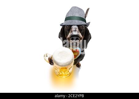 bayerisches Bier Dackel Wurst Hund Stockfoto