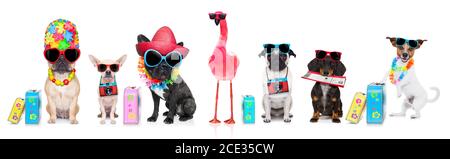 Hundereihe im Sommerurlaub Stockfoto