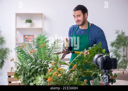 Junger Gärtner mit Pflanzen im Innenbereich Stockfoto