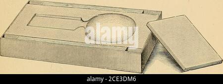 . Ein Handbuch der mechanischen Zahnheilkunde und Metallurgie . schlingt zusammen, bis die perfekte Koaptation gesichert ist.die erforderliche Größe und Form der Form wird dann in einem Abschnitt des Blocks ausgeschnitten; die beiden Teile werden dann durch Einbinden mit Draht oder mit Hilfe von Klemmen gesichert. Asbestformen.^ – vergleichsweise preiswert, und zur gleichen Zeit bequemer und (lural) le conrivances de-signed für die gleiche puri)ose. Kombination von Tiegel und GOLD. 209 ninld. And eni1)raciiTi^- the s])ecial Vorteile geltend gemacht forcharcoal, kann er ohtained in den Zahndepots. Eine der kleinsten Formen dieser Verwandtschaft Stockfoto