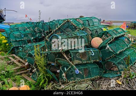 Hummertöpfe auf Holy Island in Northumberland Stockfoto