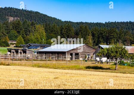 Ländliche Szene auf der Halbinsel Saanich in der Nähe von Victoria British Columbia Kanada Stockfoto