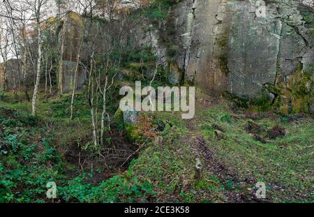 Panoramabild des Arbeitsgesichtes auf einer Lichtung im Yarncliffe Quarry, in der Nähe von Grindleford, Derbyshire, Großbritannien Stockfoto