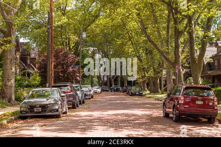 Autos parkten an einem sonnigen Sommertag in Pittsburgh, Pennsylvania, USA, auf einer von Bäumen gesäumten Straße im Viertel Regent Square Stockfoto