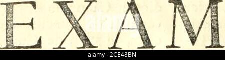 . Obras chronologicas: las publica ... Gregorio Mayans i Siscàr . CE EXA- 202. EN CHRONOLOGICO DEL ANO EN QUE ENTRARON LOS MOROS EN ESPAÑA. Su AUTOR 2) O ^ gASTA IBAÑiEZ T)E SEqOVIA, Marques cíe Ádondejar ^ de Valhermojo ^-i de Agropoliy Conde T^endilla^Señor de IX T^rovincia de Almoguera^ Alcaide de la Alhambra^y Capitán General de Granada, Ú^c. AL EXCELENTISSIMO SEÑOR DON JUAN MANUEL FERNANDEZ Pacheco, Duque de Efcalona, Marques de Villena i Moya, Conde de Santifevaii, i Xiquena , &:c. O MO es ID Jtnrazon tan confcquente efeñode la ignorancia y ni fe rinde ala Mas pa-tente evidencia  , Stockfoto