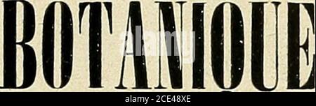 . Bulletin de la Société botanique de Genève . Stockfoto