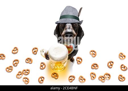 bayerisches Bier Dackel Wurst Hund Stockfoto