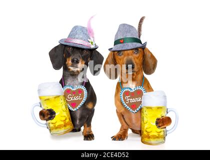 bayerisches Bier Dackel Wurst Hunde, ein paar von zwei Stockfoto