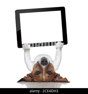 Hund-computer Stockfoto
