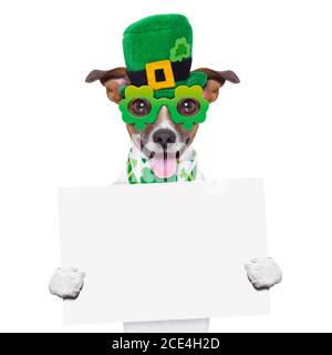 Banner „Boss Dog“ Stockfoto