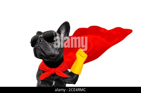 Super-Helden-Hund Stockfoto