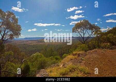 Landschaft von Hügeln und riesigen Eukalyptuswäldern von hoch aus gesehen Aussichtspunkt am südlichen Ende des Arcadia Valley im Zentrum von Queensland Australien Stockfoto