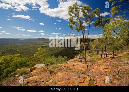 Landschaft von Hügeln und riesigen Eukalyptuswäldern von hoch aus gesehen Aussichtspunkt am südlichen Ende des Arcadia Valley im Zentrum von Queensland Australien Stockfoto