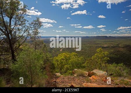 Landschaft von Hügeln und riesigen Eukalyptuswäldern von hoch aus gesehen Aussichtspunkt am südlichen Ende des Arcadia Valley im Zentrum von Queensland Australien Stockfoto