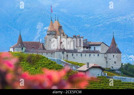 Chateau d'Aigle im Kanton Waadt, Schweiz Stockfoto