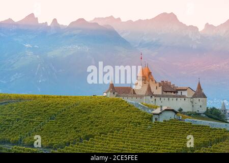 Chateau d'Aigle im Kanton Waadt, Schweiz Stockfoto