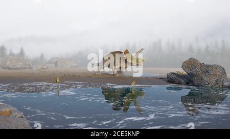 Triceratops horridus, Dinosaurier am Strand Stockfoto