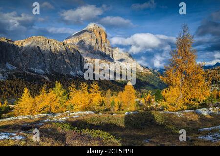 Atemberaubende alpine Herbstlandschaft mit buntem Rotholzwald und schönen gelben Lärchen. Erstaunliche Wolken über den magischen hohen Bergen bei Sonnenuntergang, Stockfoto