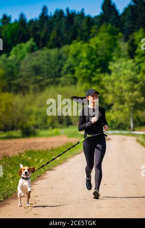 Sportmädchen läuft mit einem Hund (Beagle) auf der Landstraße towadrds Kamera. Stockfoto