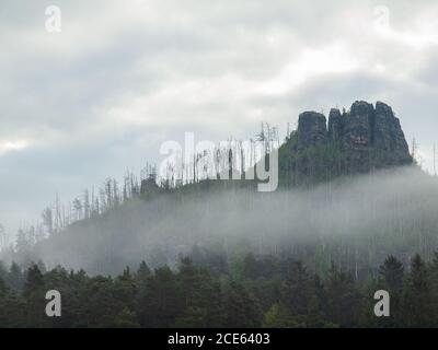 Verbrannte Bäume auf dem Feuer am Havrani Hügel. Tschechische Schweiz. Stockfoto