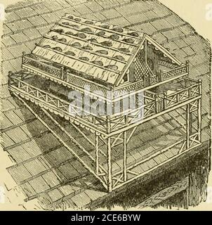 . Scheune Pläne und Nebengebäude . Abb. 321 – TOG HÜTTE TAUBENHAUS PLATZ. Hiermit werden einige Gravuren von einseitigen Häusern gegeben, und eine, die entsprechend gesetzt werden kann, wie ausgestellt, nach einem Dach. Für die Bequemlichkeit der Untersuchungen sollten Taubenhäuser das Dach so umartet haben, dass man es abhebt. Die Dächer sollten breite, vorspringende SCHWEIZER TAUBENHAUS 319 Traufe und Giebelenden haben, um den Regen zu verhindern. Die Häuser sollten sehr sicher durch eiserne Gurte befestigt werden, geformt wie der Buchstabe L umgedreht, verschraubt auf den Boden der Strukturen und an der Seite des Pfostens. Der Postsollte für den Server sehr glatt sein Stockfoto